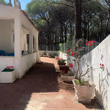 Villa Splendid A Stones Throw From The Sea Santa Lucia (Sardinia)